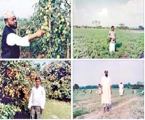 চার কোটিপতি চাষির গল্প