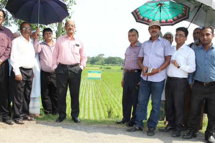 কৃষি সম্প্রসারণ অধিদপ্তরের মহাপরিচালক গোলাম মোঃ মারুফ আড়াইহাজার উপজেলা কৃষি বিভাগের বিভিন্ন কর্মকান্ড পরিদর্শন করেন