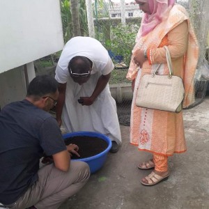 Vermivompost at rooftop