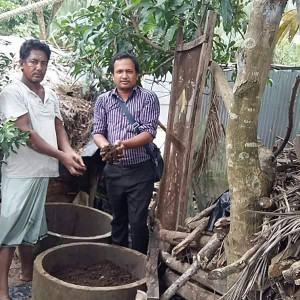 ভার্মি কম্পোষ্ট