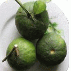 বারি সাতকরা-১