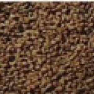 বারি মেথী-২