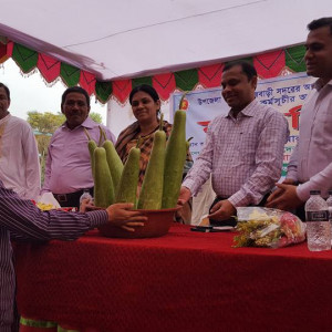 নিরাপদ সবজি