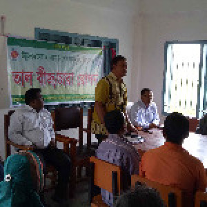 তাল বীজ রোপন