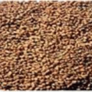 বারি মেথী-১