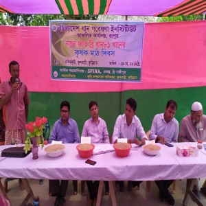 কৃষক মাঠ দিবস